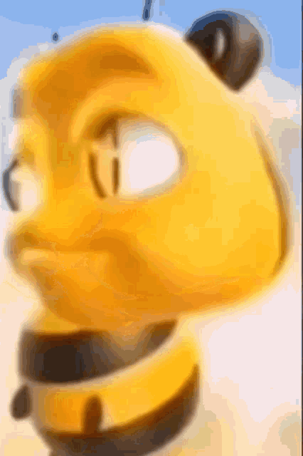 426x640