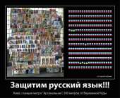 960x789
