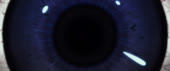 1280x542