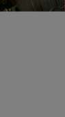 918x1632
