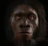 380x360