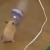 360x360