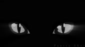 1920x1080