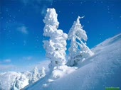 480x360