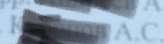 164x44