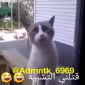 480x480