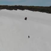 400x400