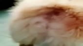 400x224