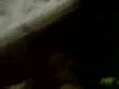 320x240