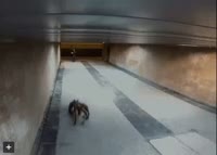 498x358