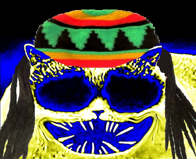680x553
