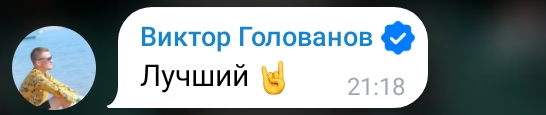 546x115