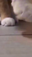 360x640