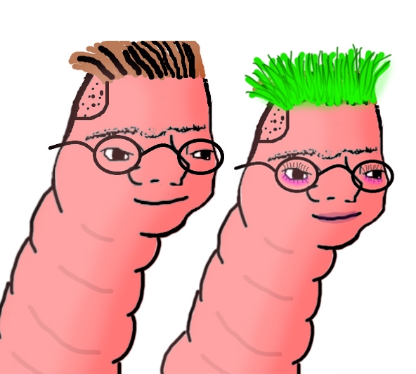 592x532