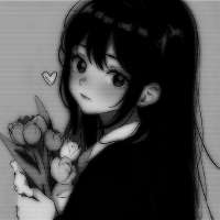 736x736