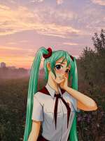 736x981