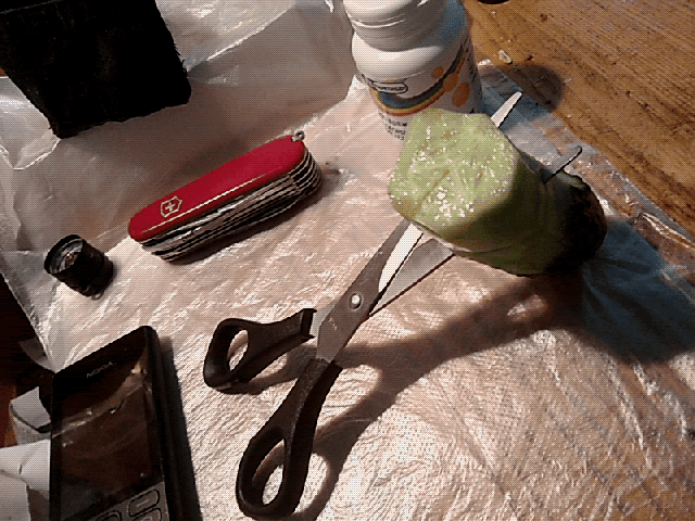 16217563468400.gif