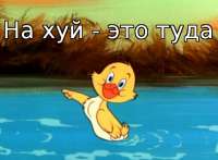 500x369