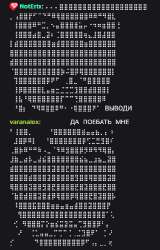 338x528