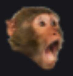 383x399