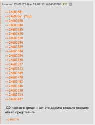 532x700