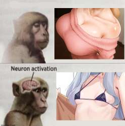 736x741