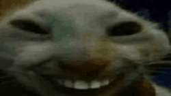 638x362
