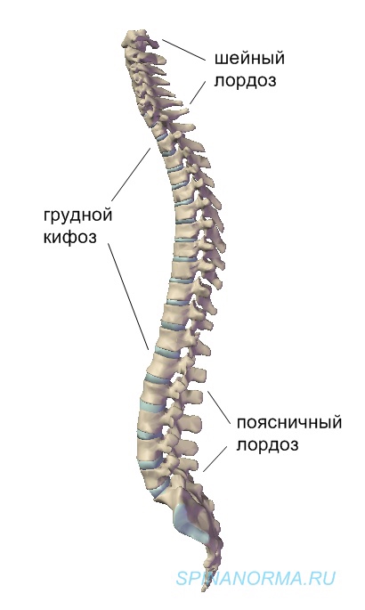 410x685