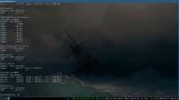 1366x768