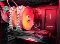 800x594