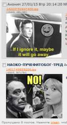 243x451