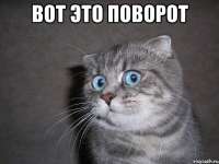 604x453
