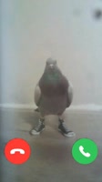 576x1024