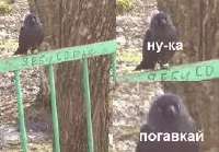 269x188
