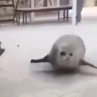 360x360