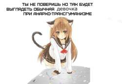 746x515