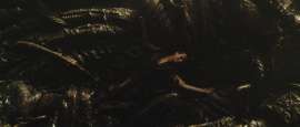 1920x820