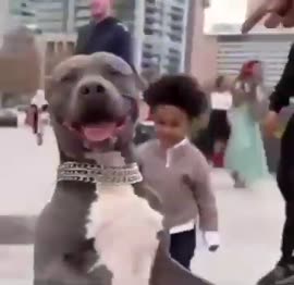 370x360