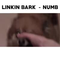 360x360