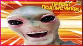 1129x629