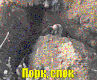 GPpJyrXt.жипег