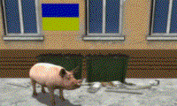 M3LXx1q5.жипег