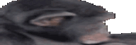 192x64