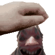 jeLUNbbZ.жипег