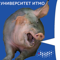 2kY1gZuc.жипег