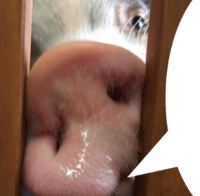 FXjqgpcM.жипег