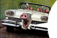 OBnHSNmZ.жипег