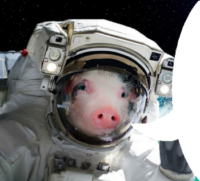 WiRyyAcF.жипег