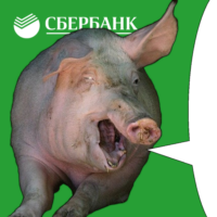 YEGLx5Nf.жипег
