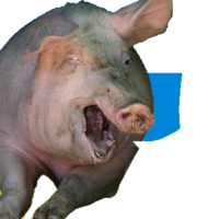 rSmIHxS9.жипег
